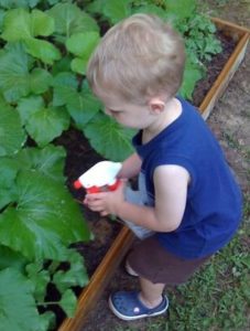 Φυσικό Φυτοπροστατευτικό Φυσικό Φυτοπροστατευτικό
